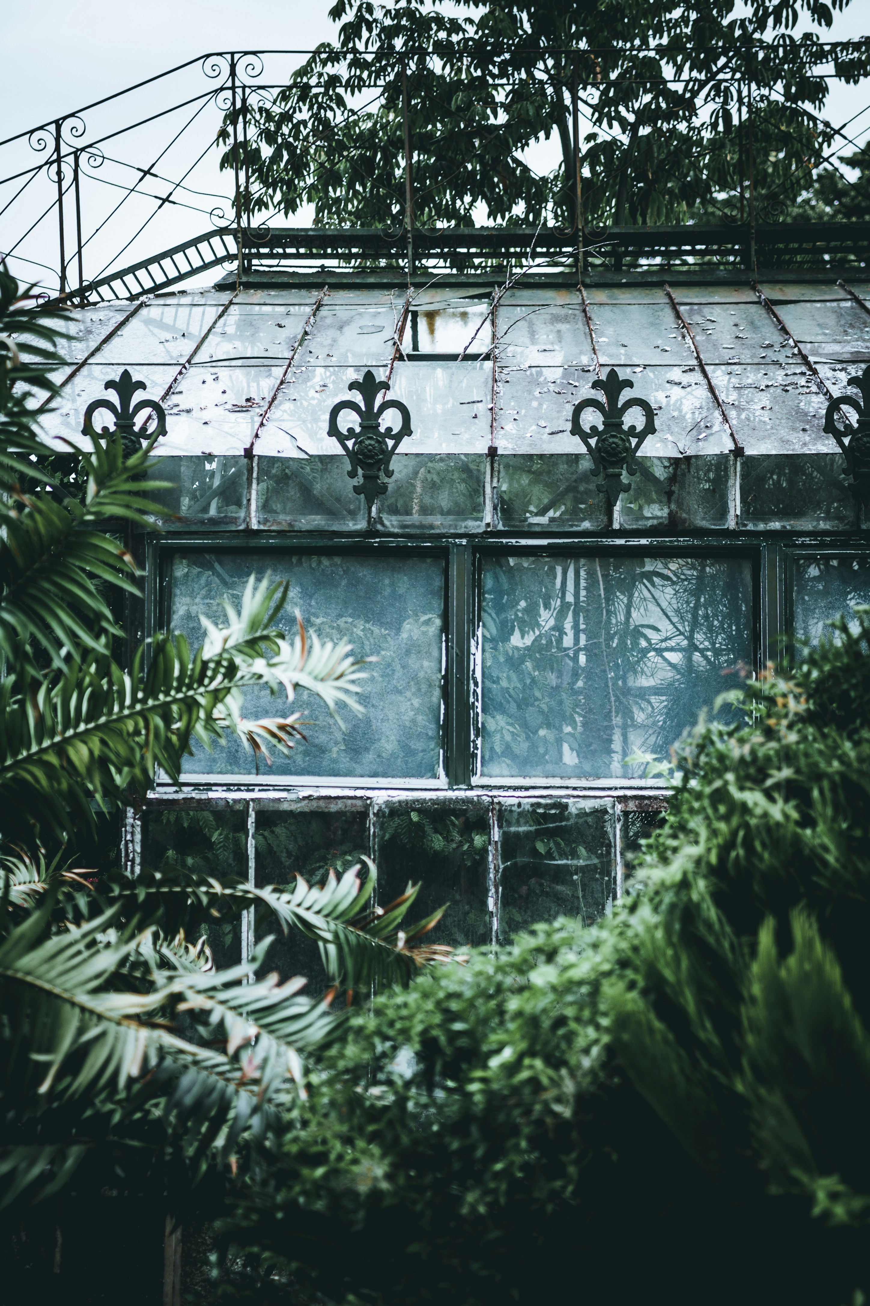 Photo by thestreetsmoment