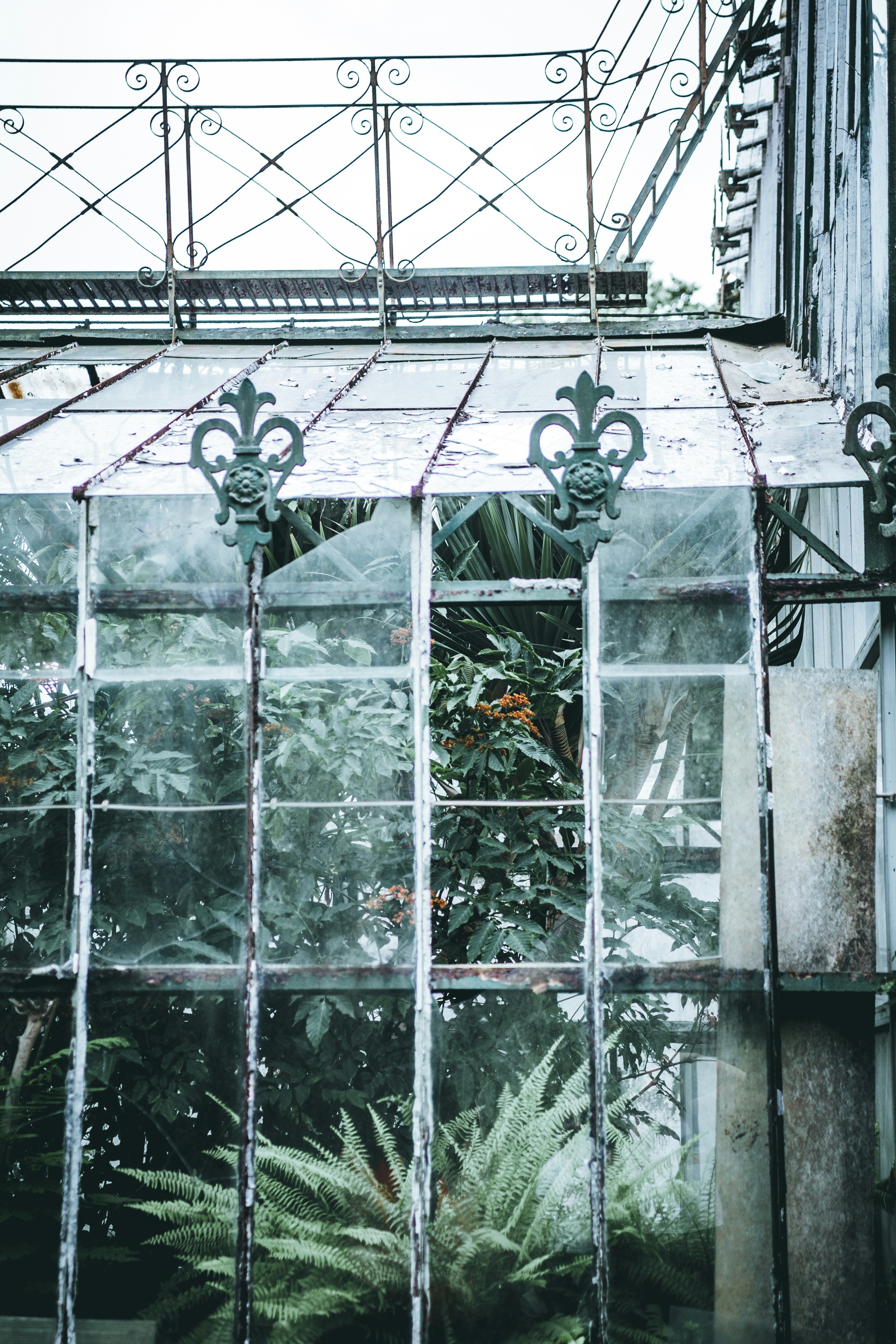 Photo by thestreetsmoment