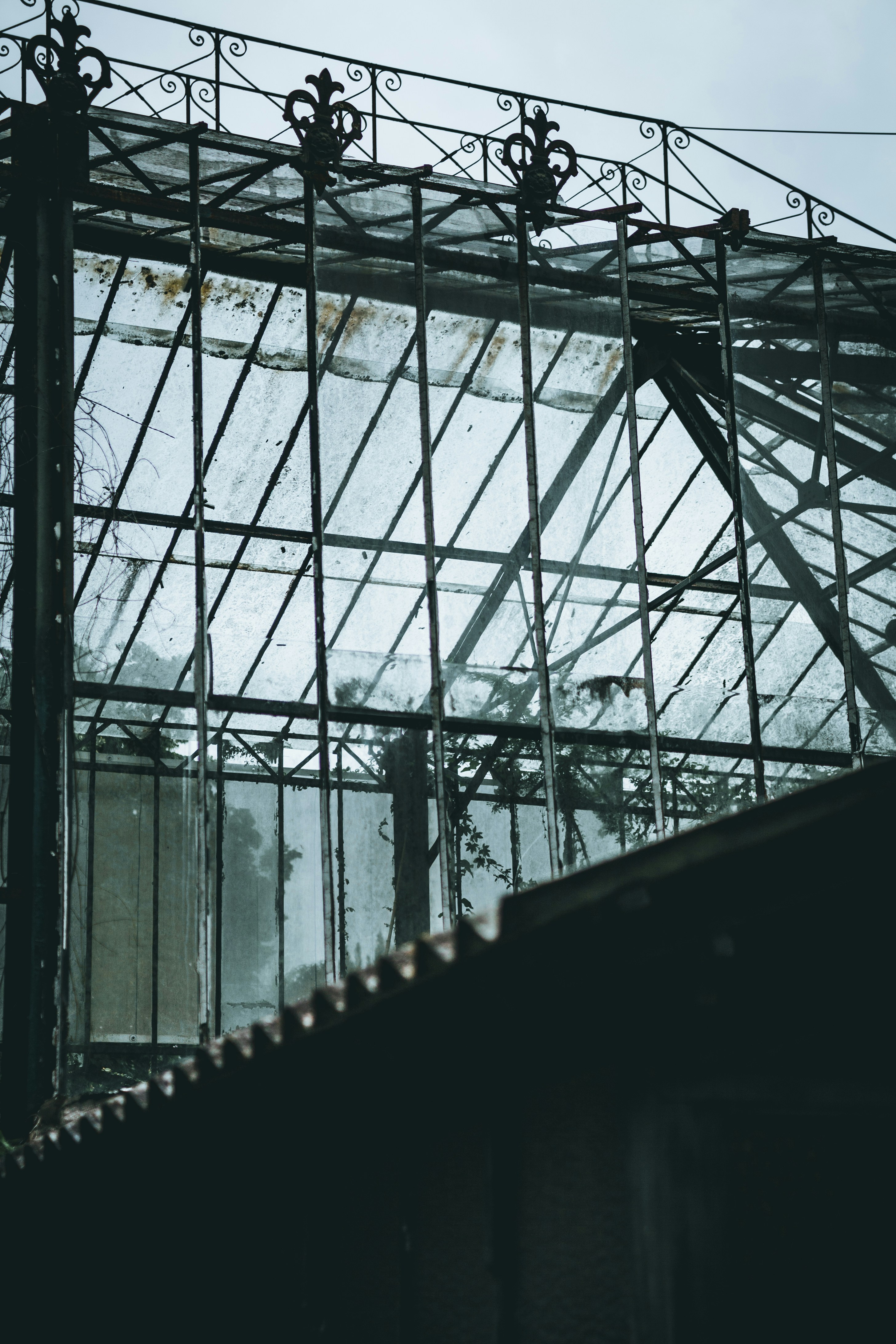 Photo by thestreetsmoment