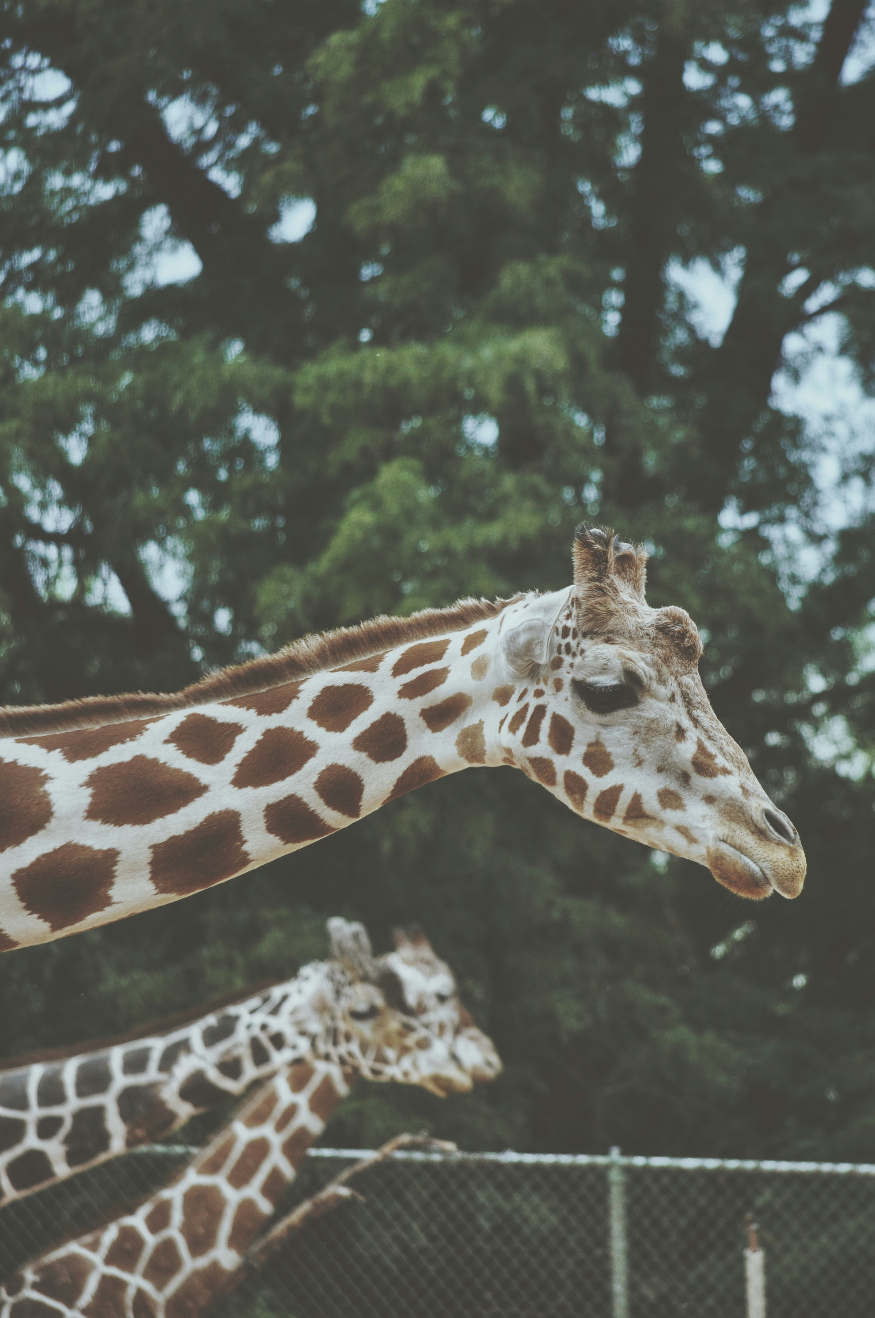 Photo by theaidenfrazier