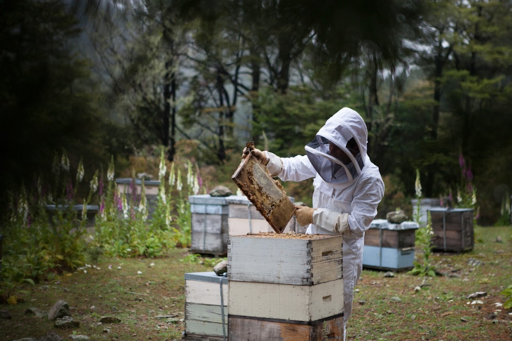 homme tenant un nid d’abeille