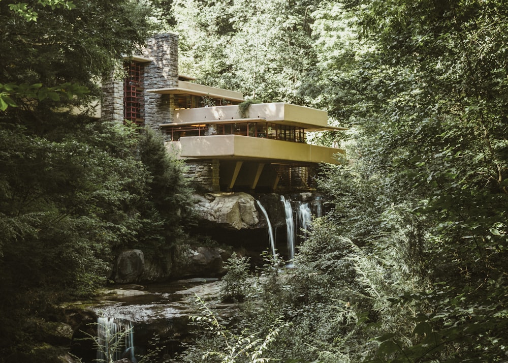 house surrounded by forest