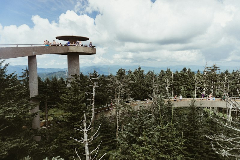 A concrete observation tower with a round roof and a long curving ramp rising above a forest of spruce and bare dead trees, with blue ridgelines on the horizon