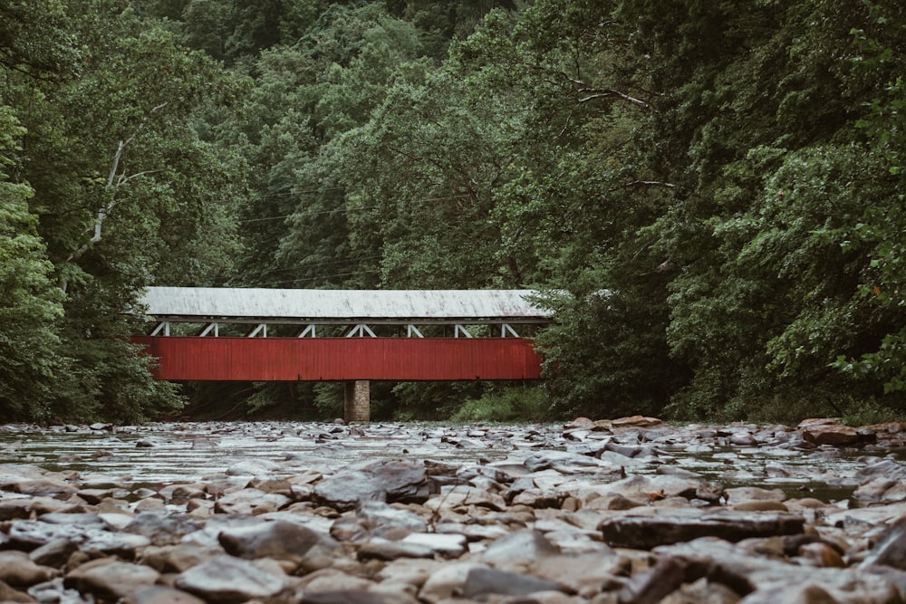 red and white bridge over rocky river near green trees