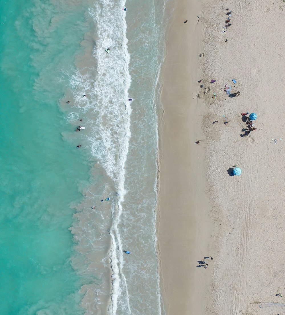 people on beach during daytime