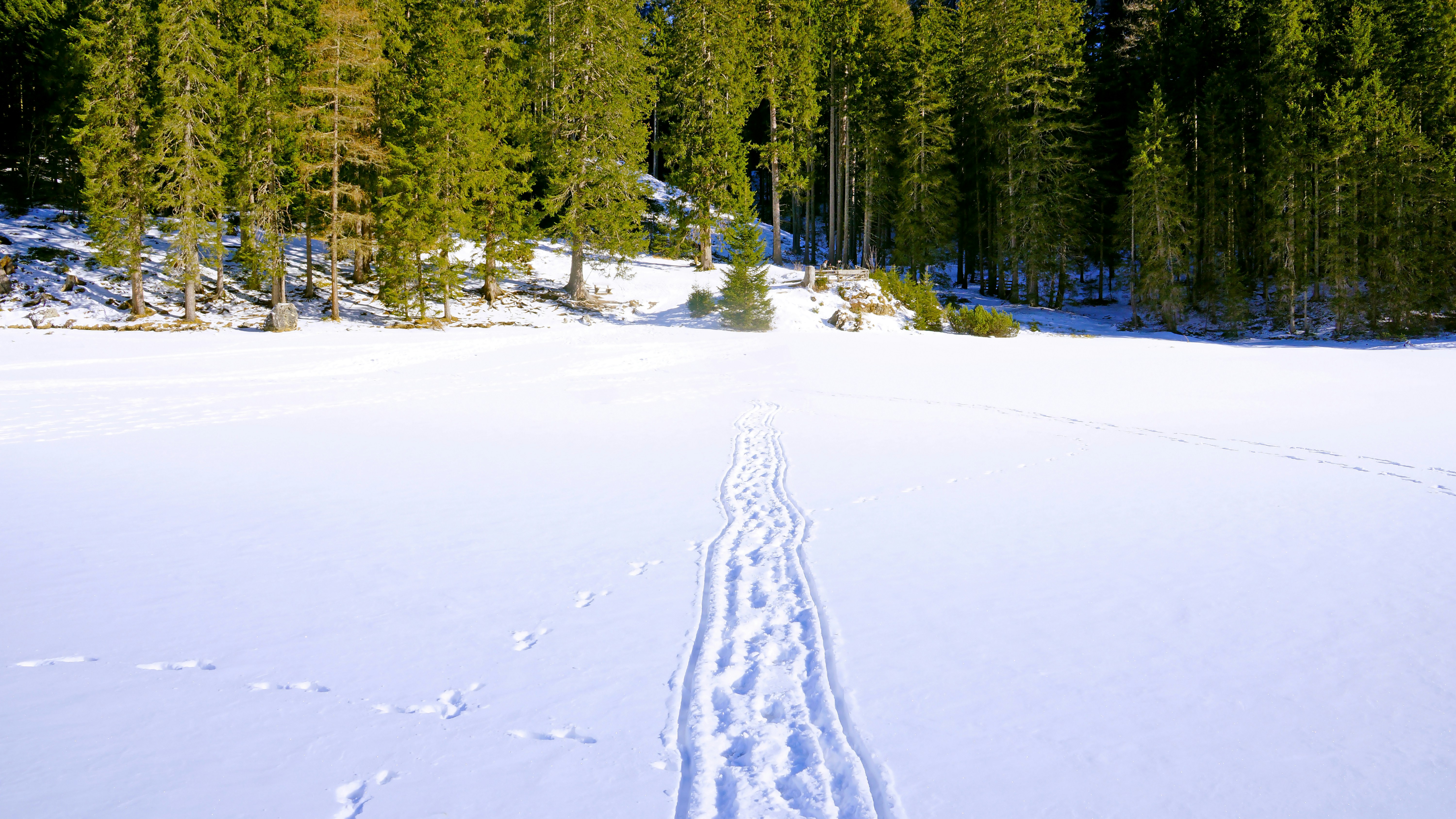 Pinery Lakes Ski Trails