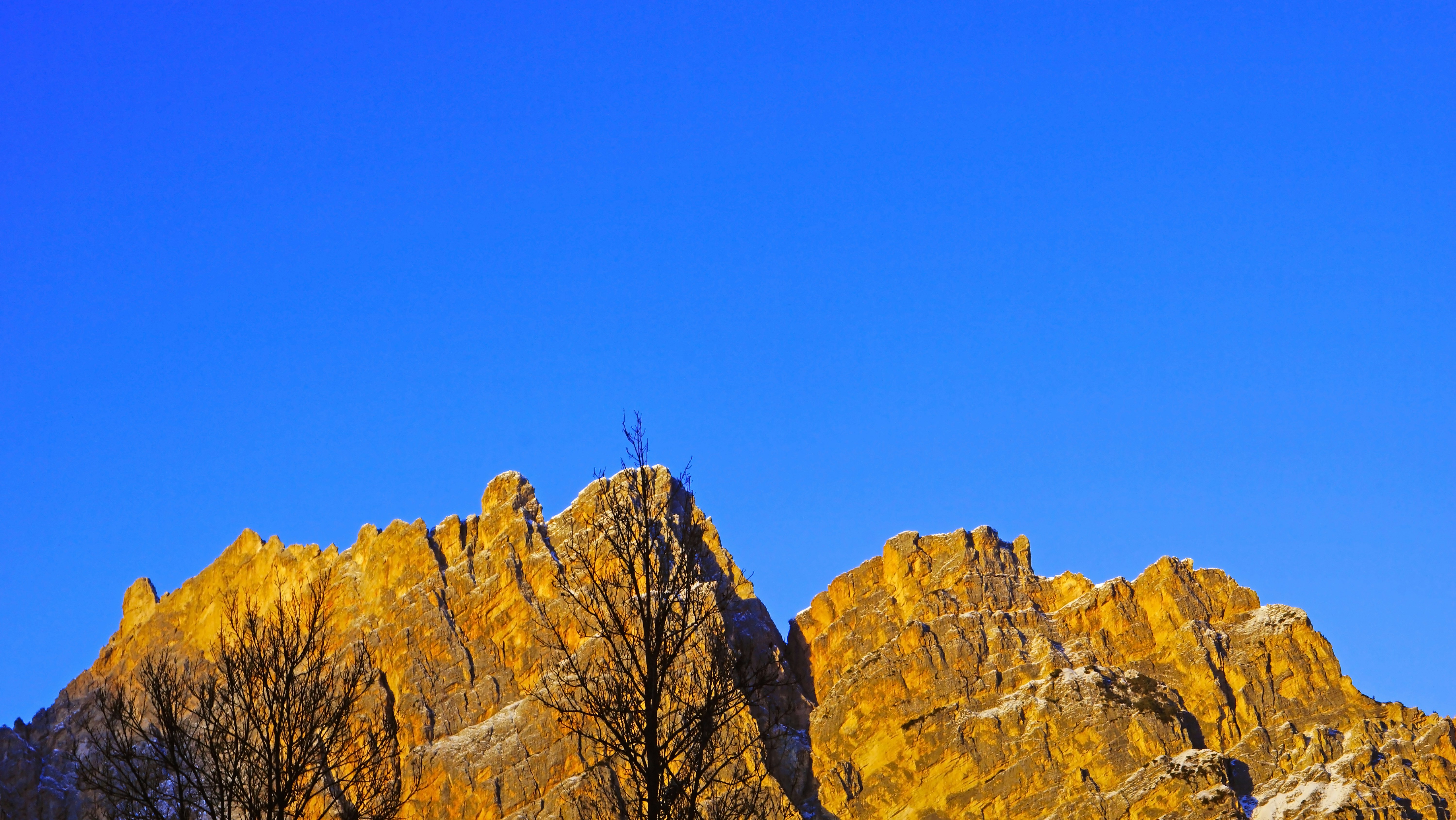Photo by borisview