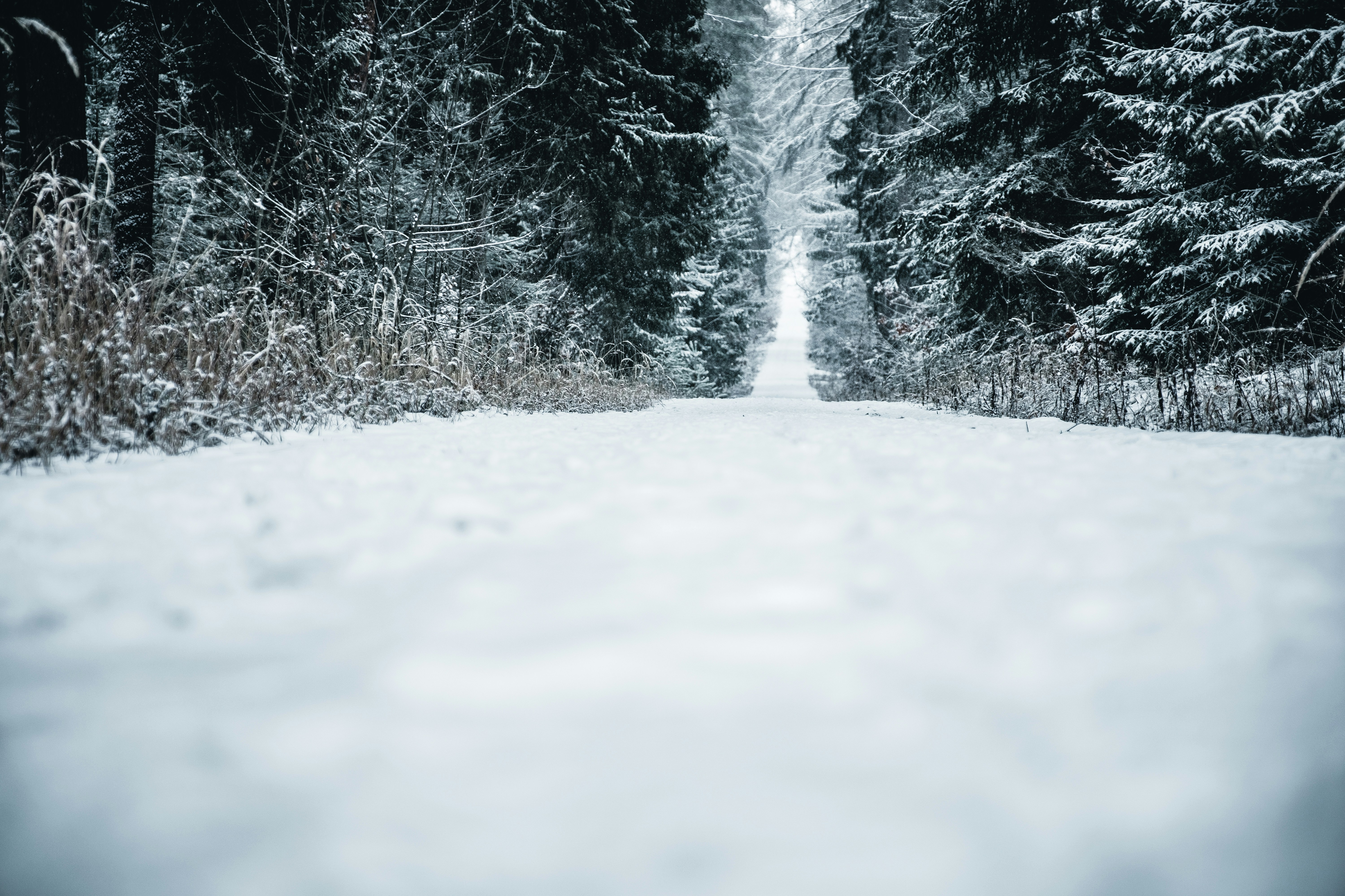 Photo by g_r_a_f_i_s_c_h