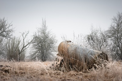 Frost-covered grass surrounds a large, rusted metal tank lying on its side in a frosty field. Bare trees in the background are coated with ice, creating a cold, desolate atmosphere.