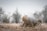 Close-up of a Bulltanks cryogenic tank with frost on its surface, set against a rustic farm background.