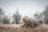 Close-up of a Bulltanks cryogenic tank with frost on its surface, set against a rustic farm background.