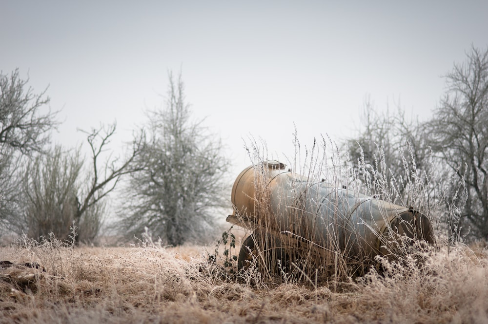 brown cannon on brown grasses