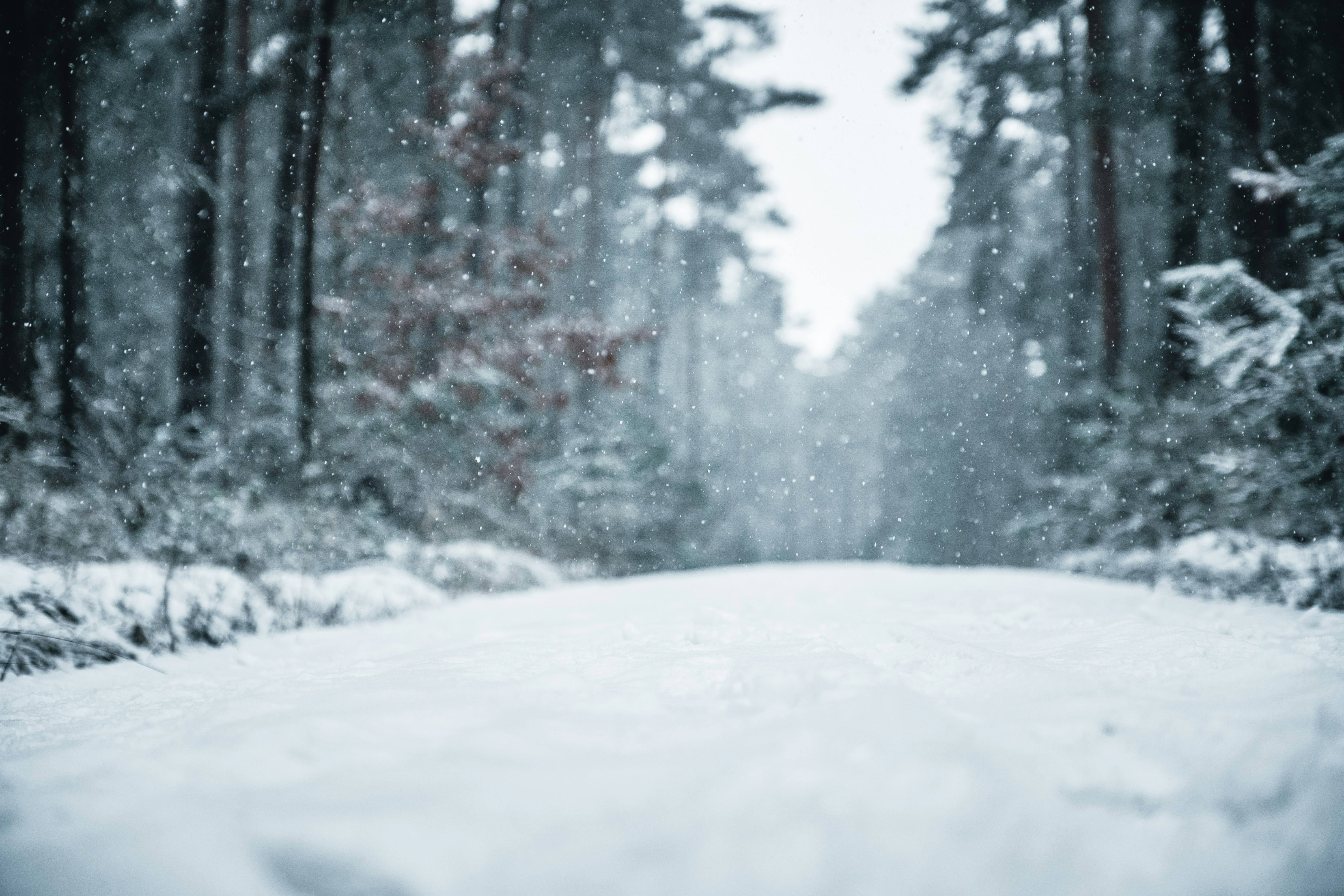 Choose from a curated selection of winter photos. Always free on Unsplash.