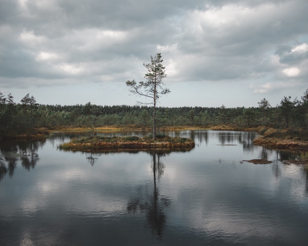 body of water under cloudy sky during daytime