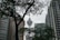 A cityscape featuring several tall buildings surrounding a prominent telecommunications tower, seen through the branches of tall trees.