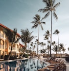 brown wooden lounge chairs near pool surrounded by palm trees