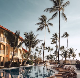 brown wooden lounge chairs near pool surrounded by palm trees