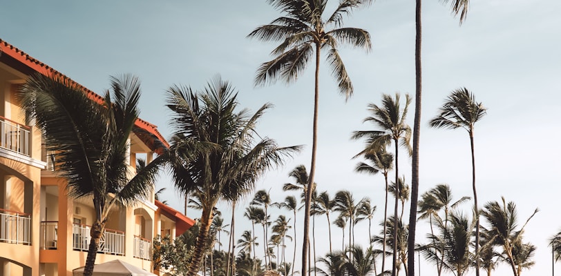 brown wooden lounge chairs near pool surrounded by palm trees