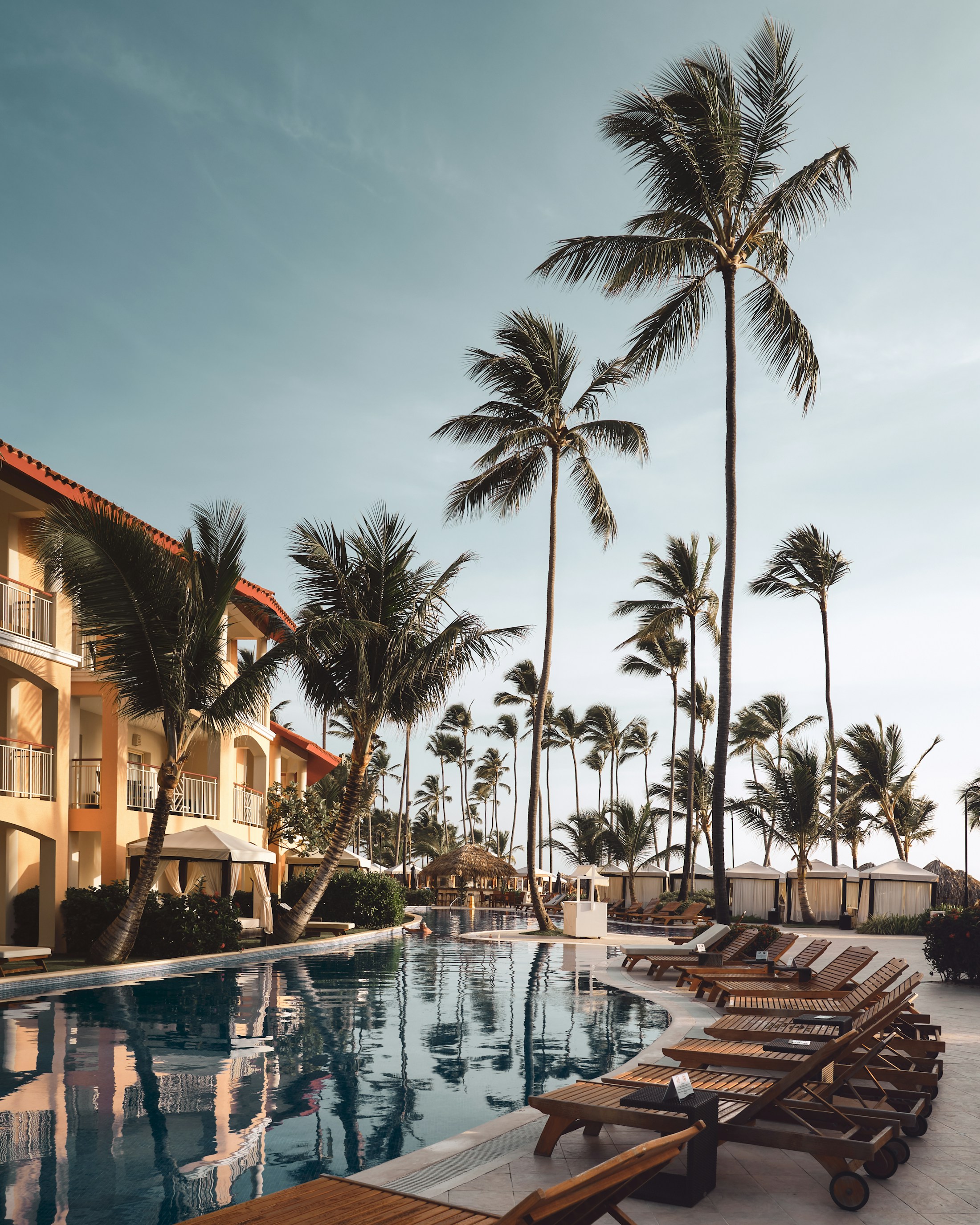Sunlit tropical resort swimming pool surrounded by palms