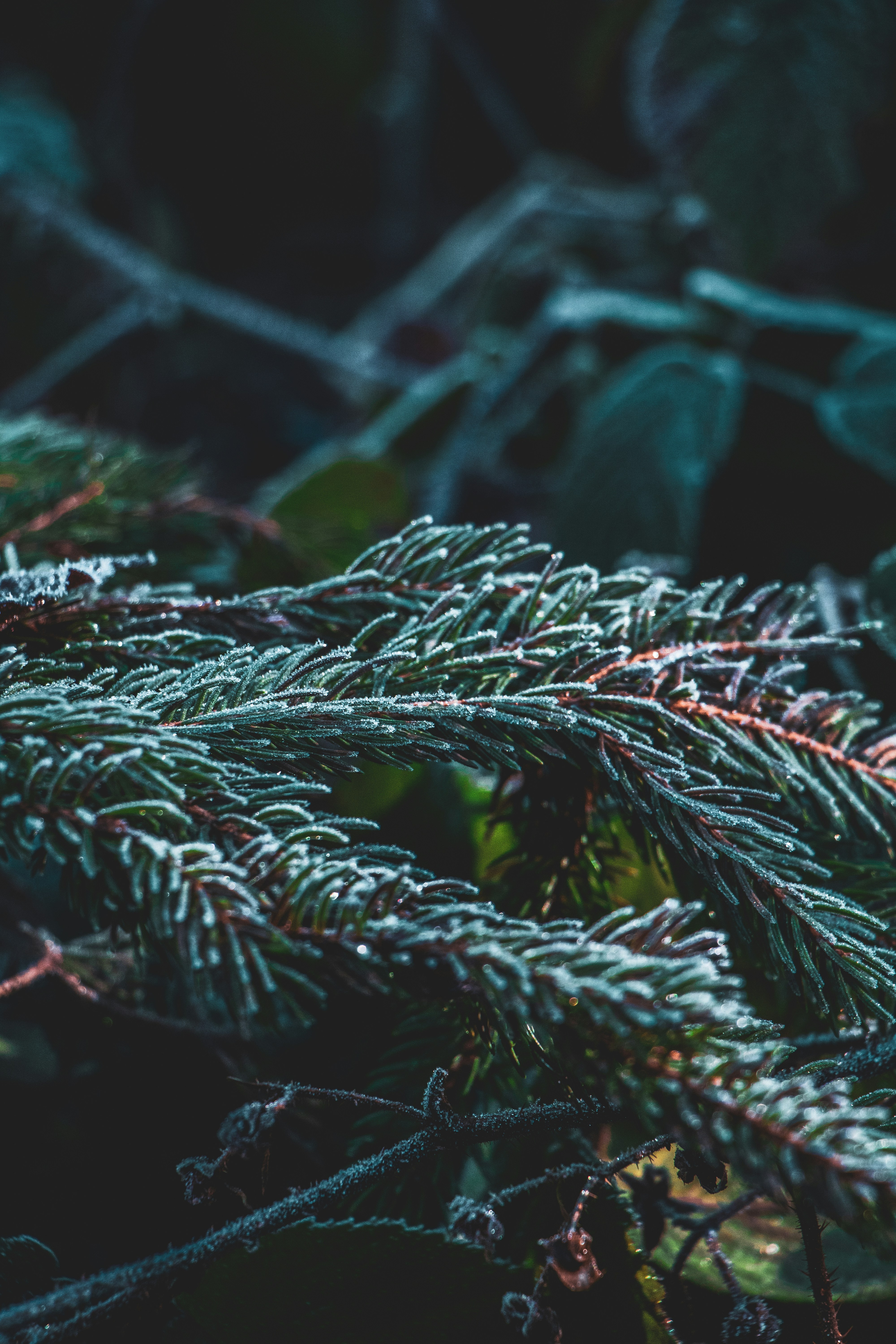 Photo by andreaferrario