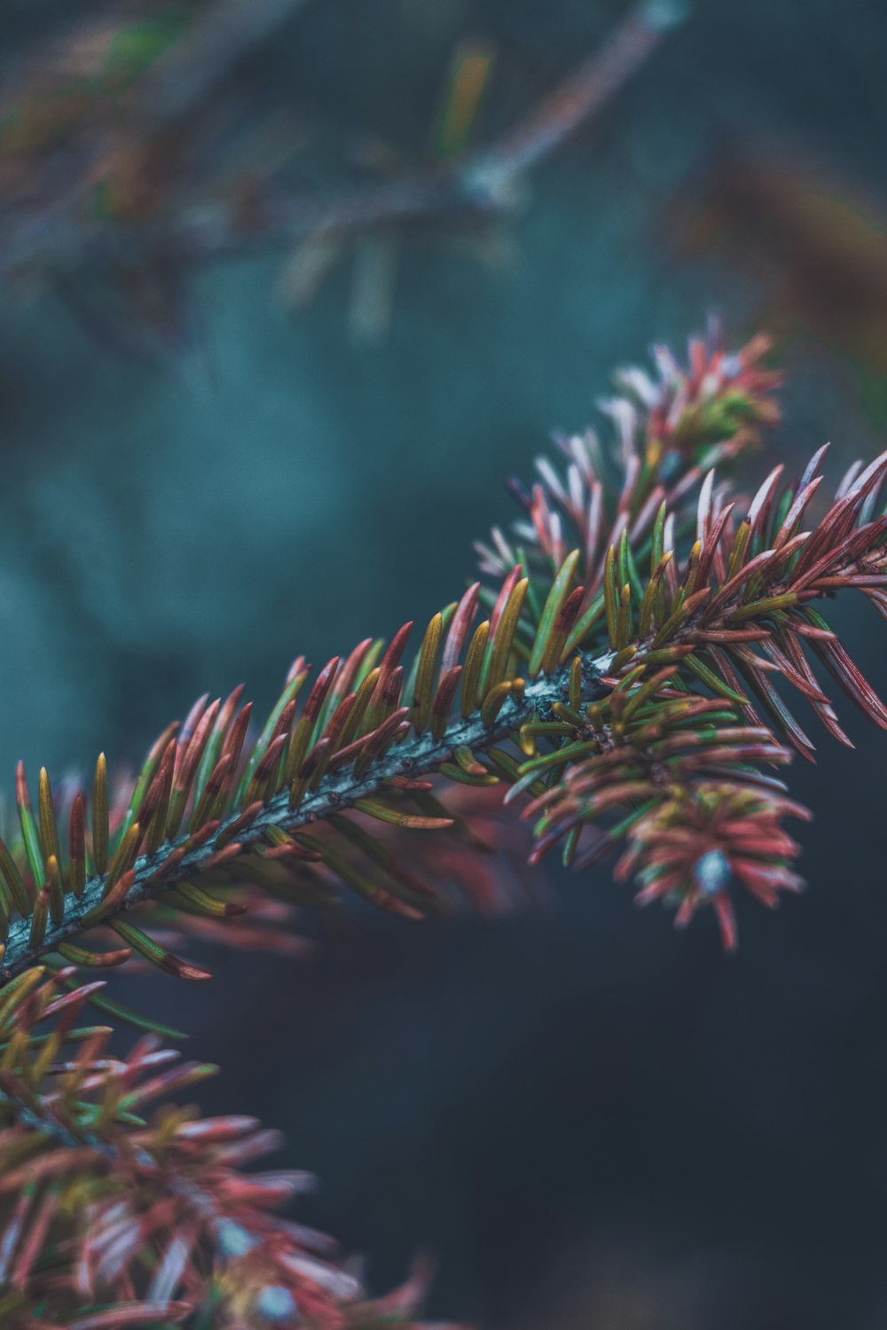 green-leafed plants