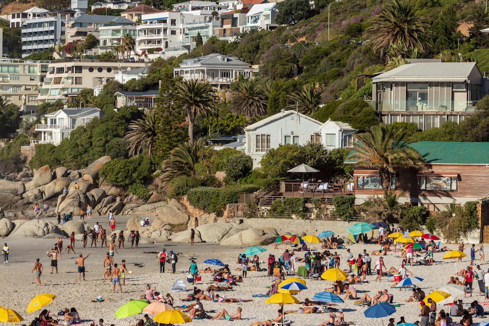 people sun bathing and standing on seashore during daytime