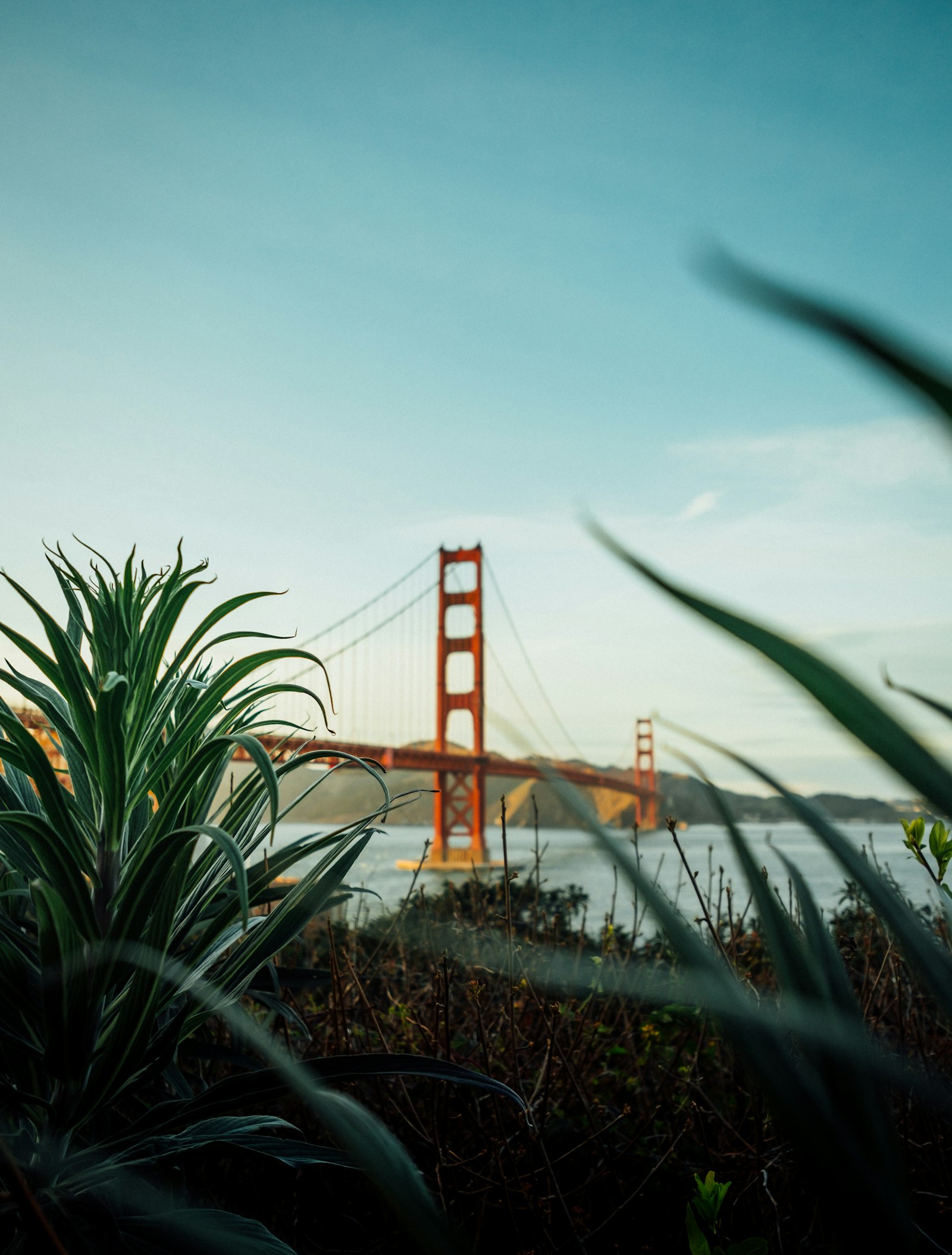 Fujifilm XF 14mm F2.8 R sample photo. Golden gate bridge photography