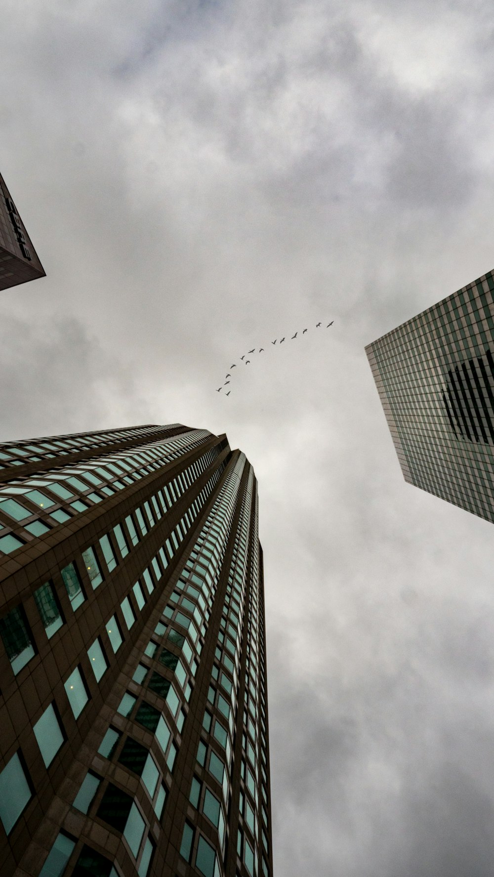 low angle photography of glass curtain building during daytime