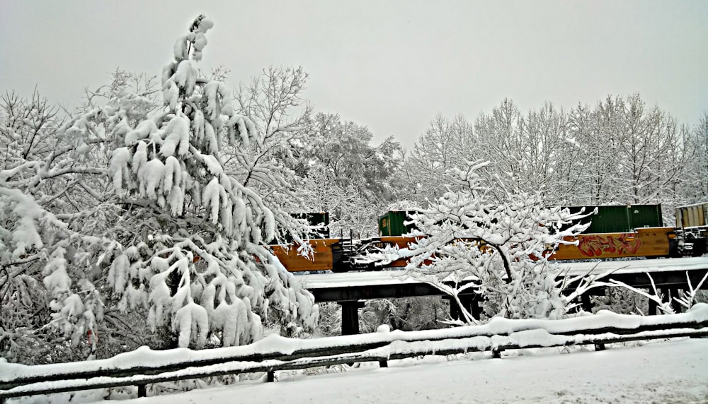 snow-covered trees