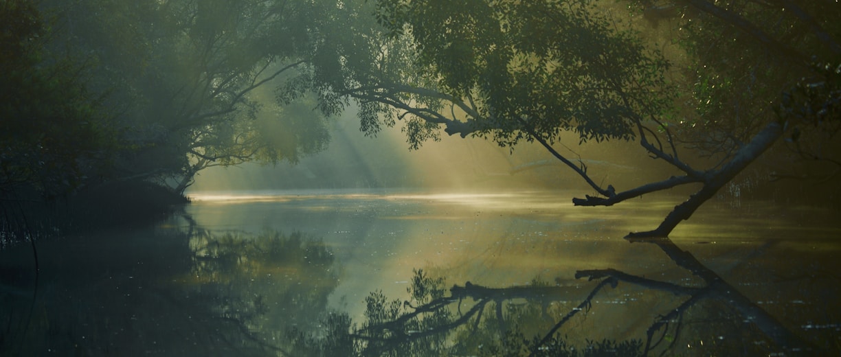 lake surrounded with tall green trees