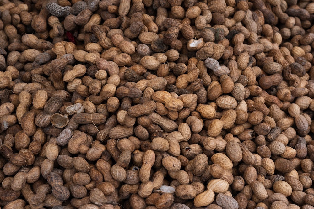 unshelled peanuts lot