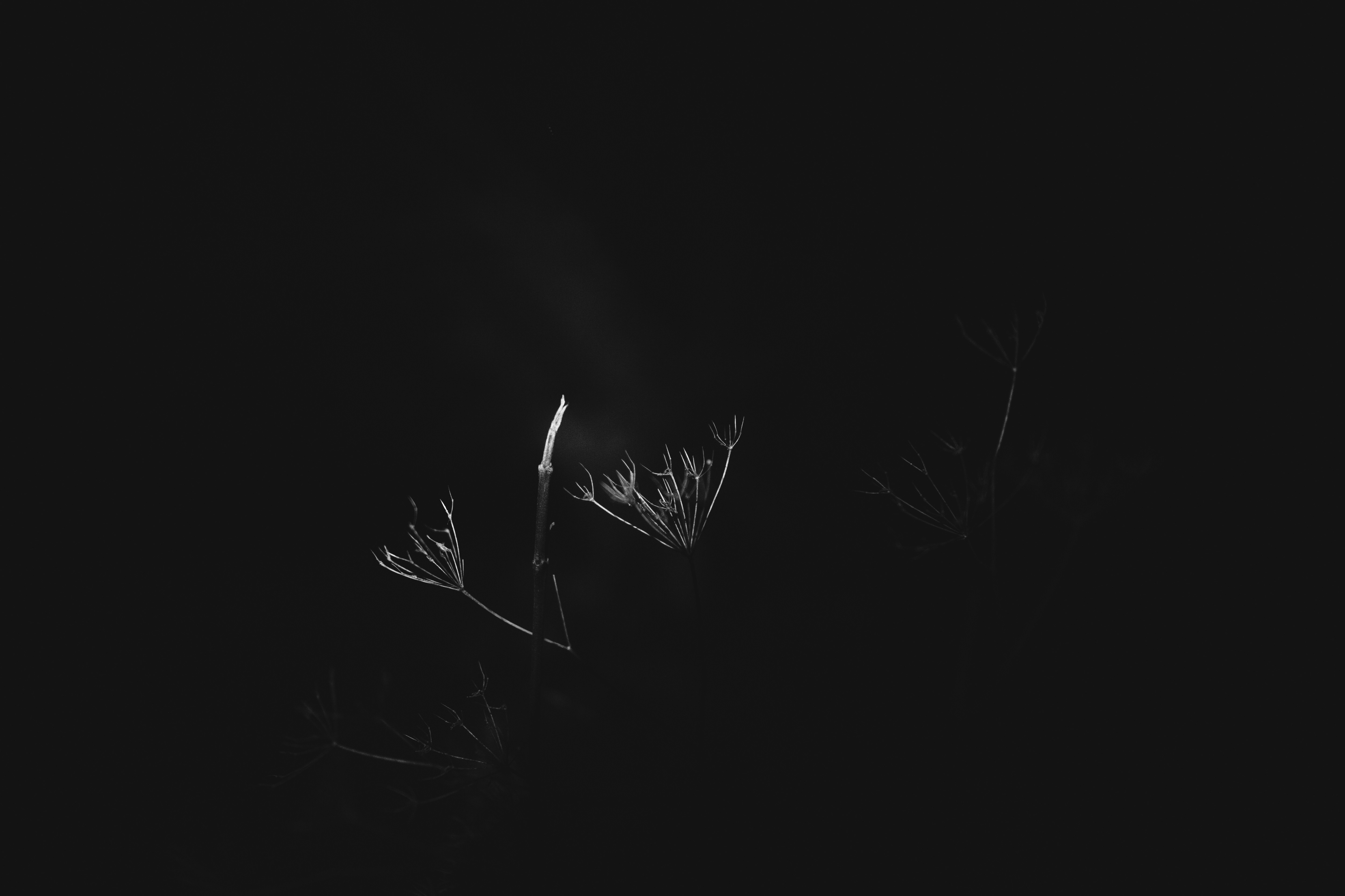 Photo by markusspiske