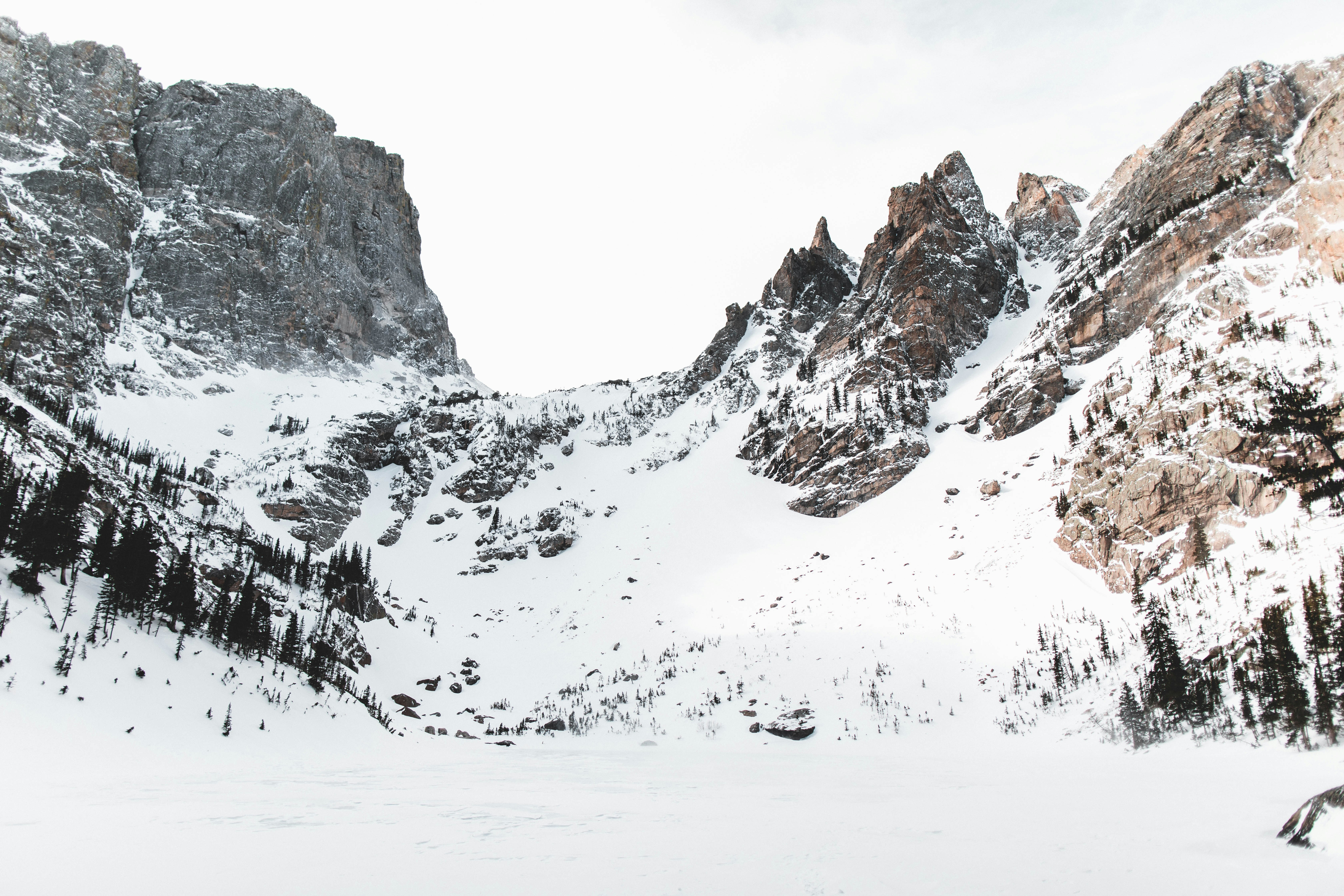 Photo by prestongoff