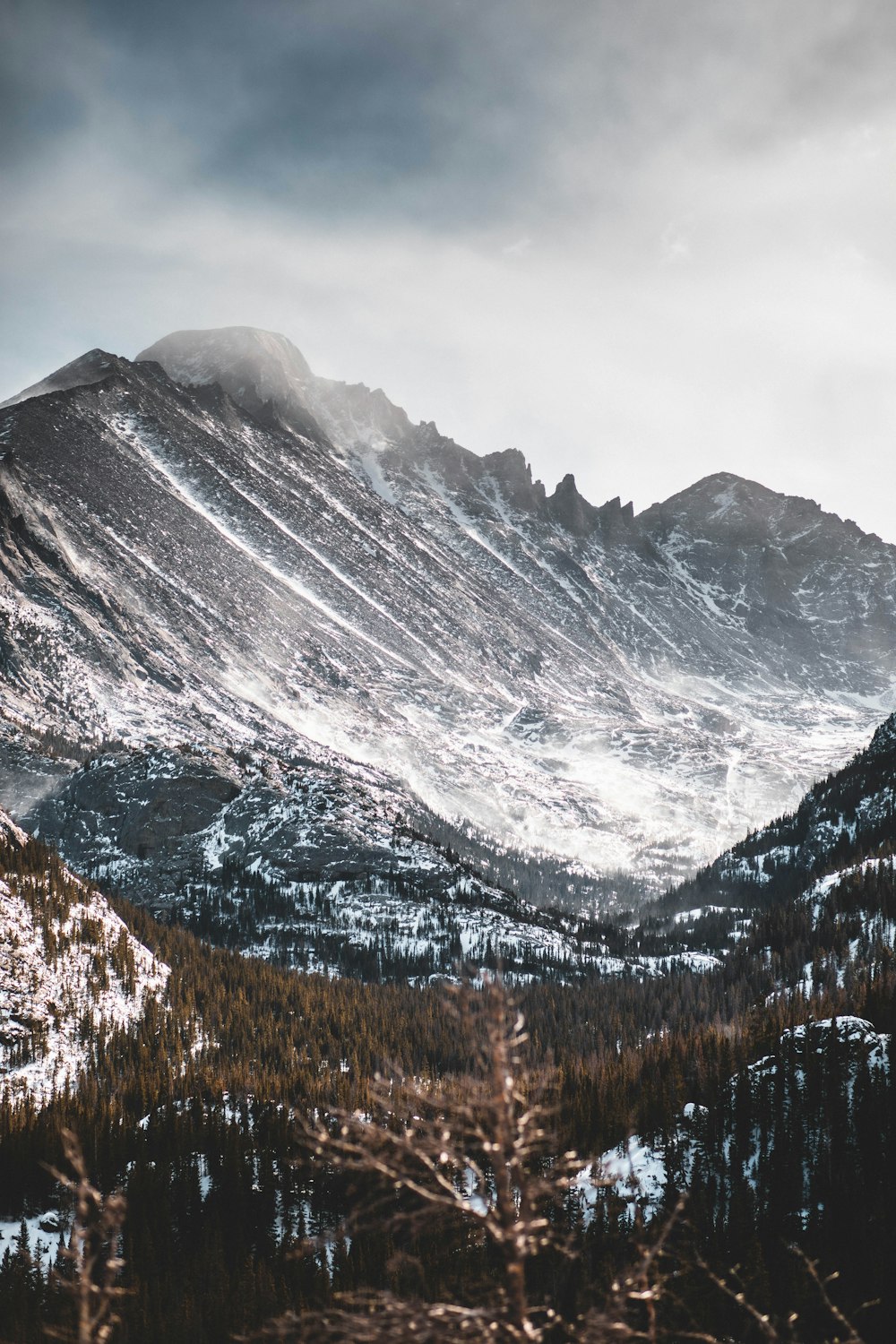 gray mountain view with fogs