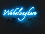 A neon sign with the phrase 'We belong here' written in bright blue cursive script against a dark background. The sign is illuminated, casting a soft glow, with visible wiring connected to the letters.