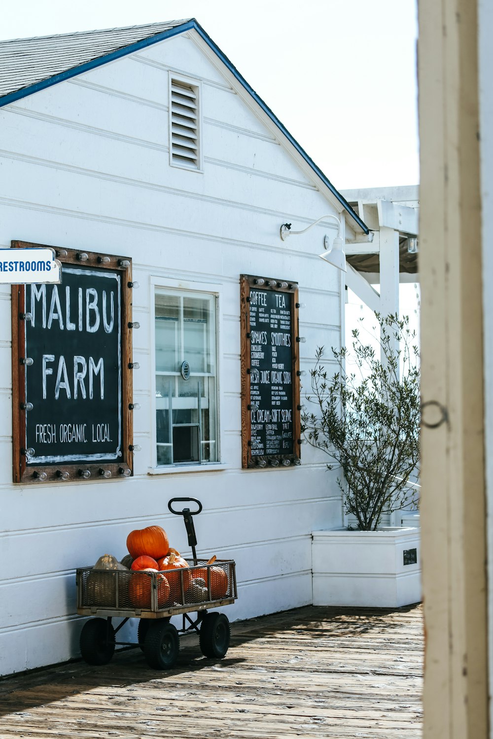 brown pull wagon with pumpkins beside white Malibu Farm house
