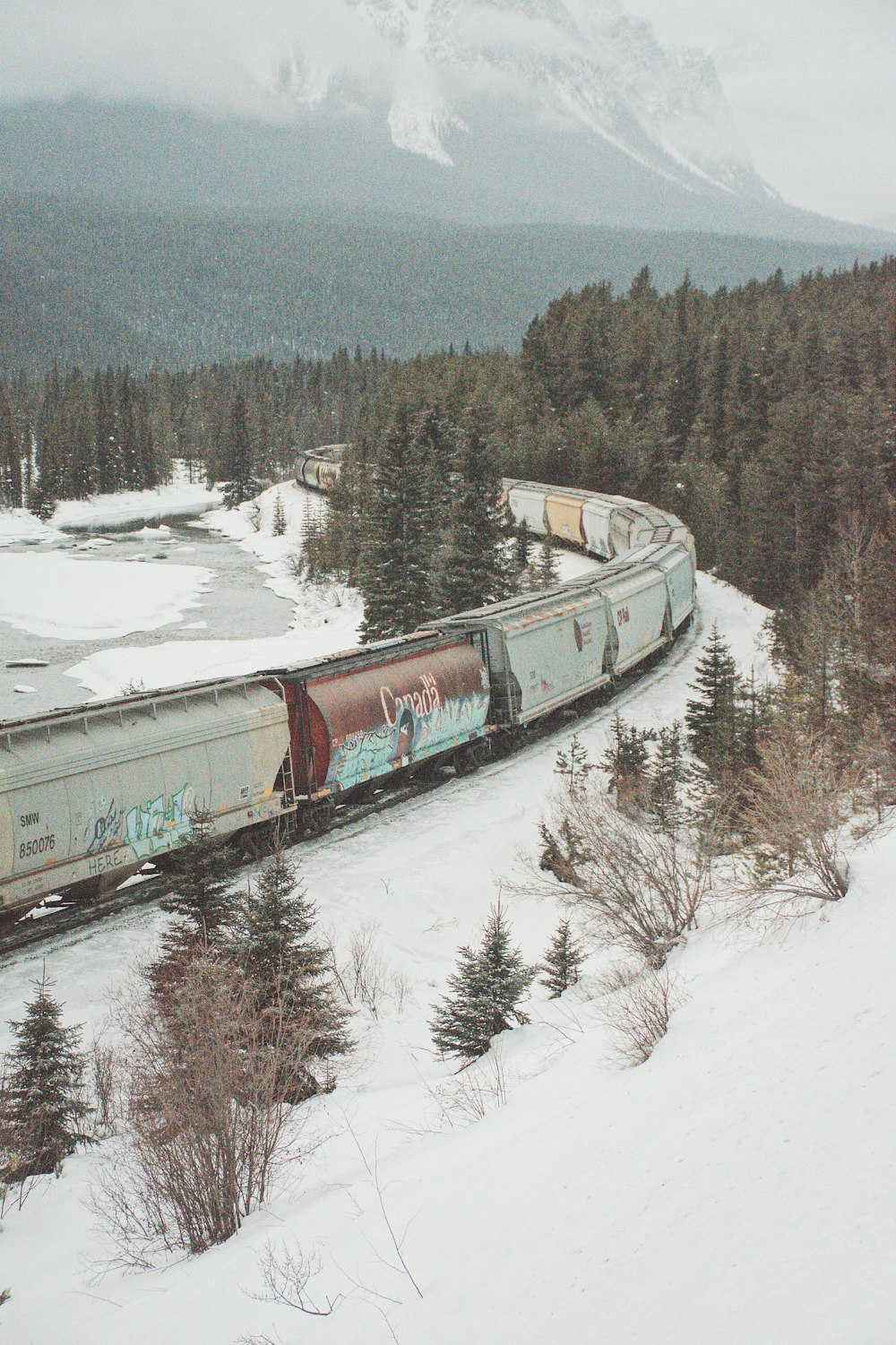 white and brown train with snow covered field surrounded by trees