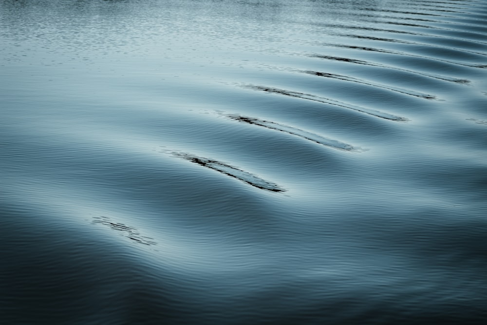 close-up photo of body of water