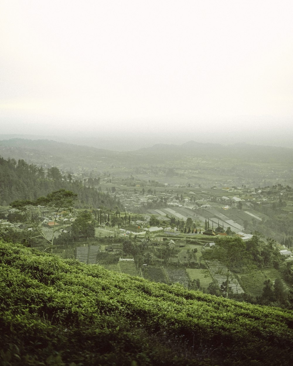 a view of a town from a hill