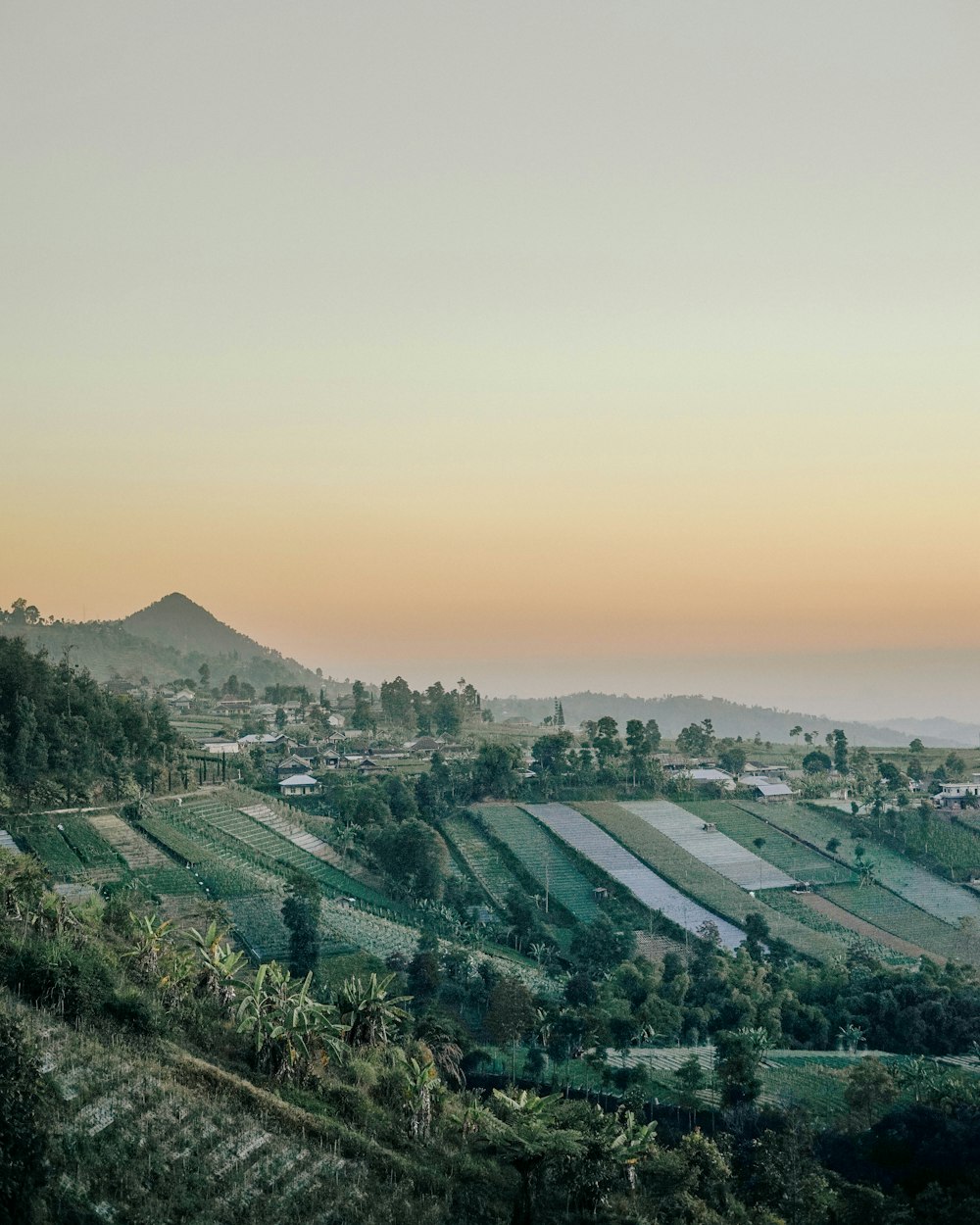 a view of a lush green valley with a mountain in the background