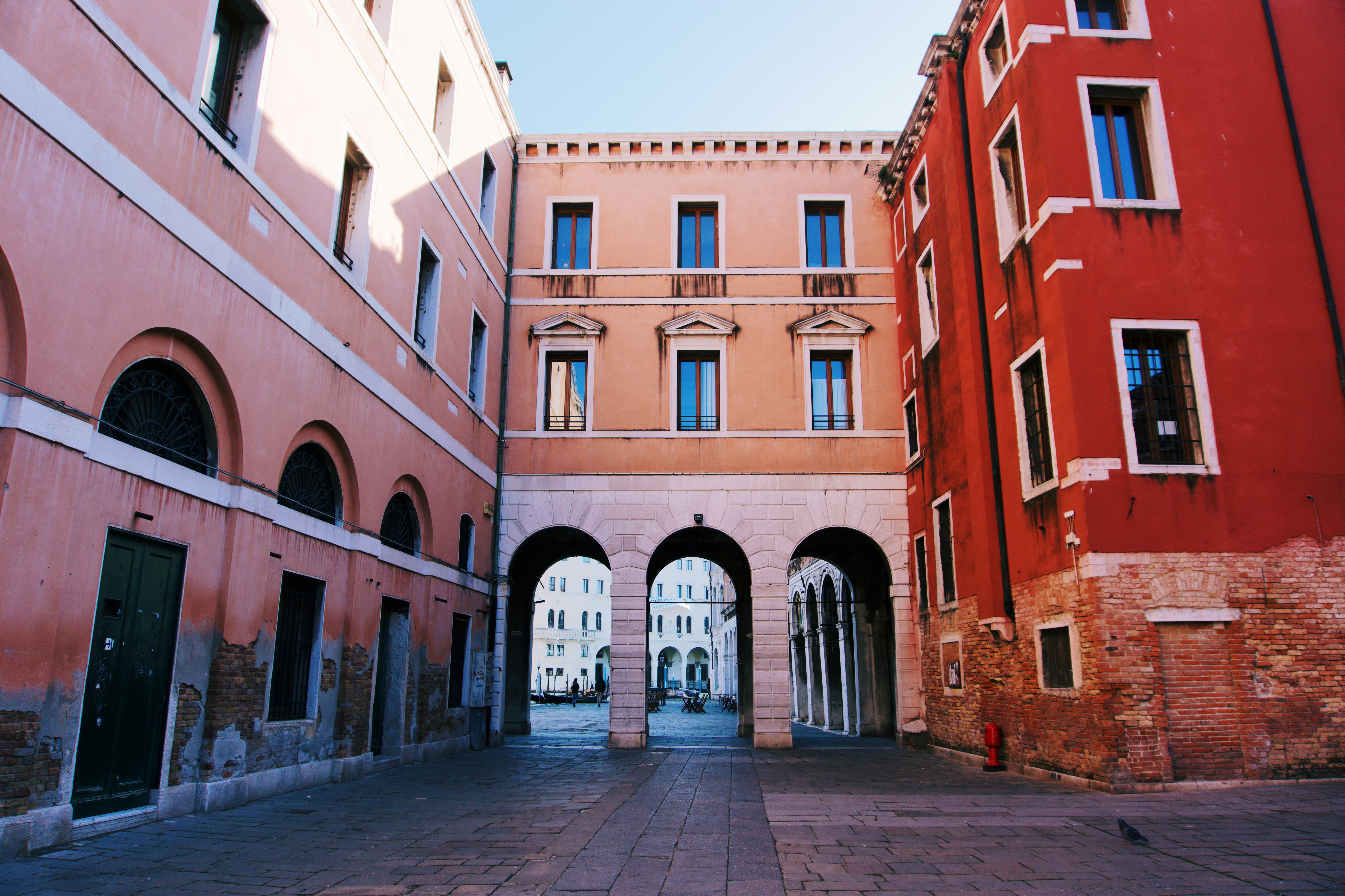 Photo by carloscoronadodr