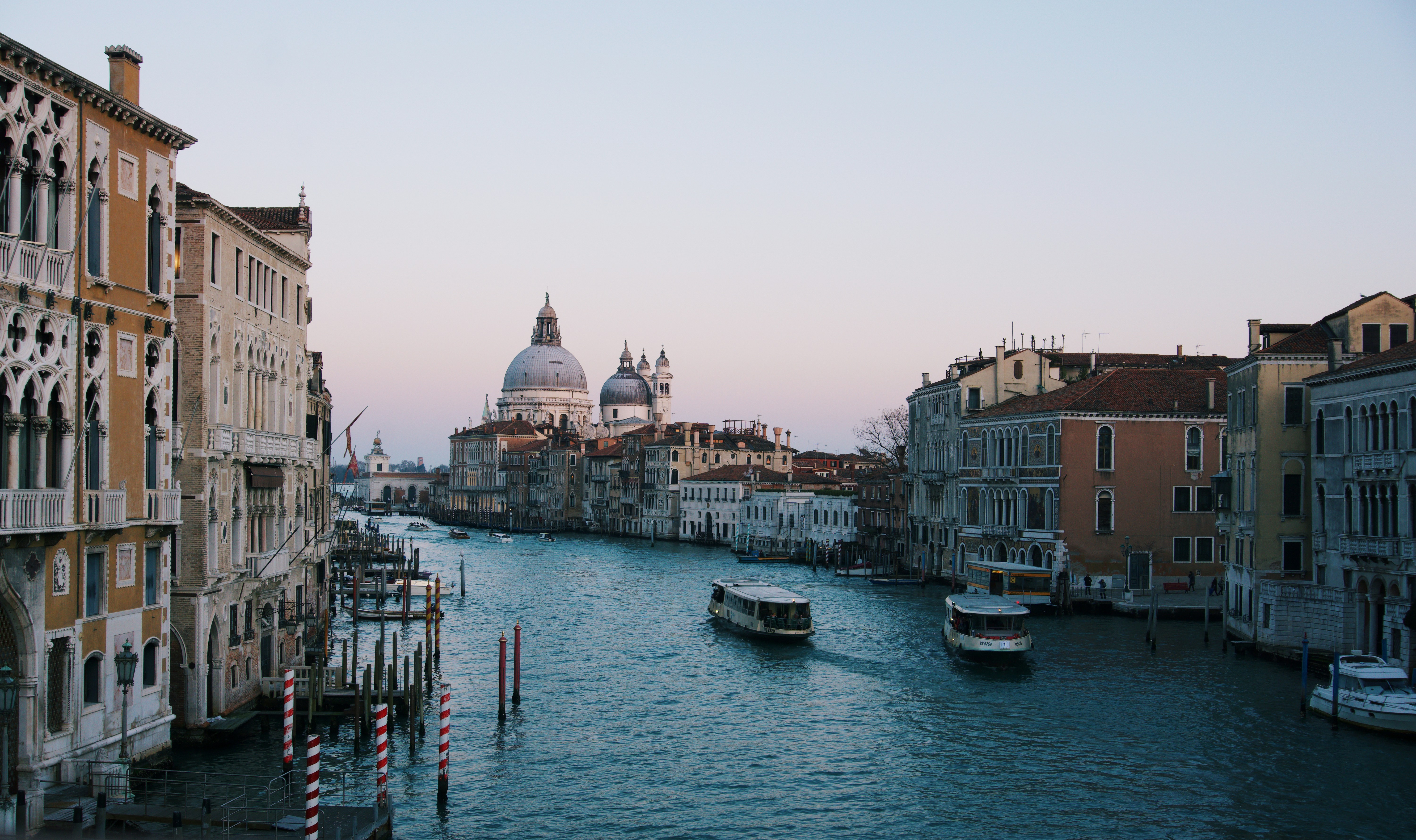 Photo by carloscoronadodr