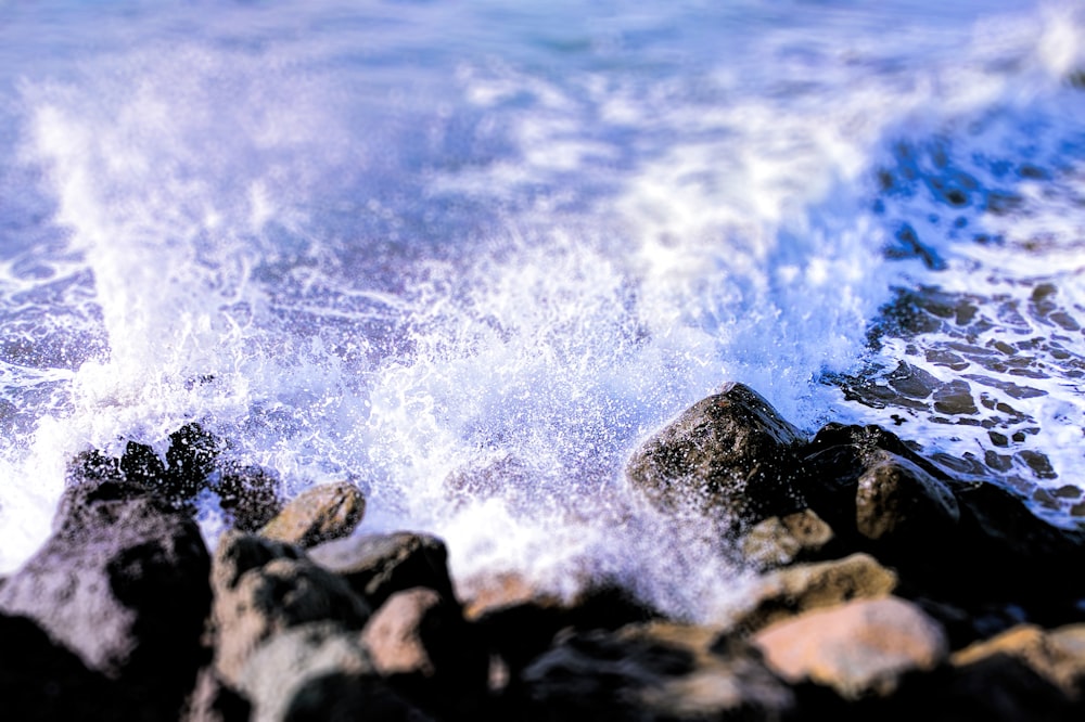 close photography seashore with rocks during daytime