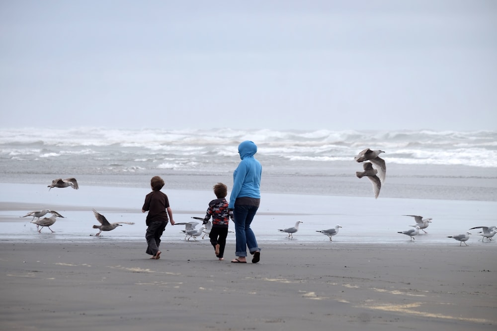 people walking on seashore with birds under white sky