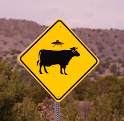 no bull road sign