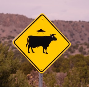 no bull road sign