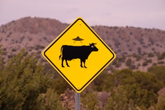 no bull road sign