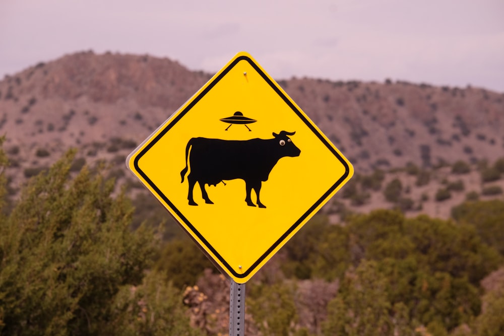No hay señal de tráfico de toros