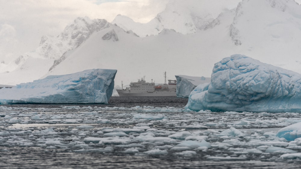 white cruise ship on water near icebergs during daytime