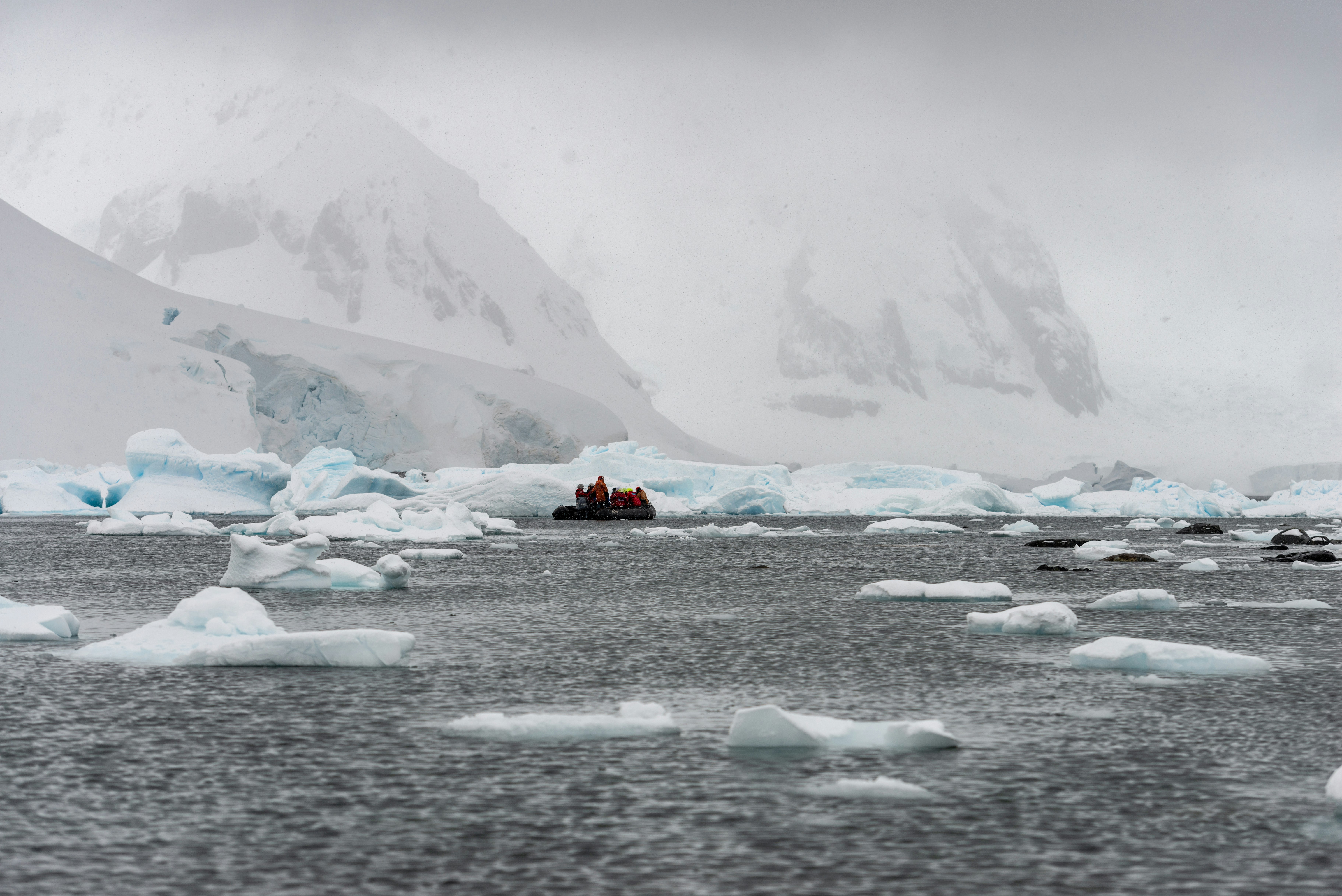 people on ice